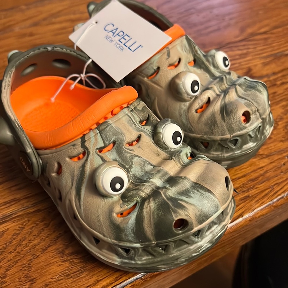 Size 6 Toddler Boys Dino slip ons